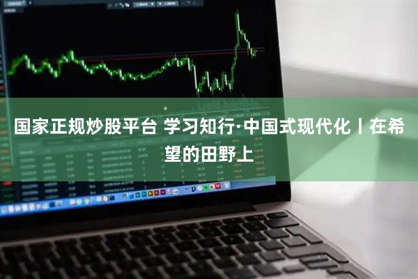国家正规炒股平台 学习知行·中国式现代化丨在希望的田野上