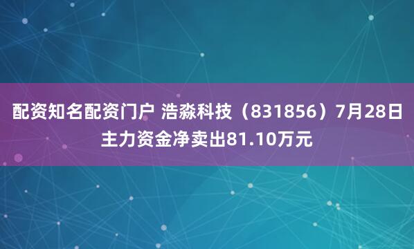 配资知名配资门户 浩淼科技（831856）7月28日主力资金净卖出81.10万元